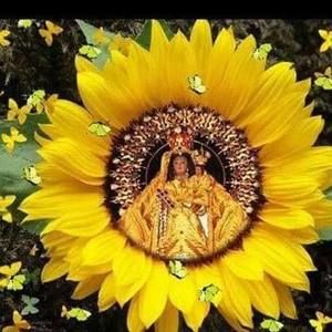 Meet your Posher, Ochun